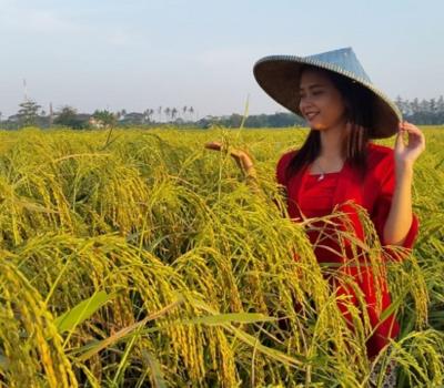 faire la balade dans la region tabanan à Bali 