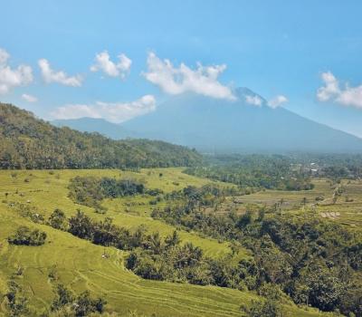 randonnée sidemen  à  bali TOP les rizierres en terrasses