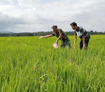 randonnée  Sidemen bali, la vue sur le mont Agung