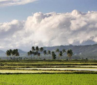 ubud randonnée à bali balilabelle