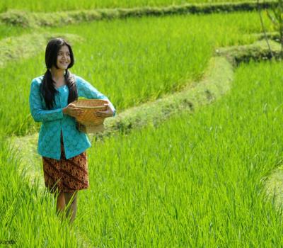 randonnée au village d'ubud,bali