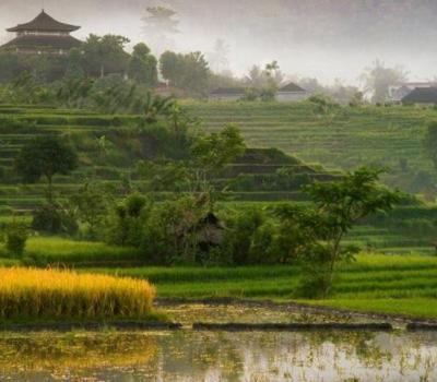 voyage à bali la beauté du village de munduk  et Cours de cuisine et offrandes