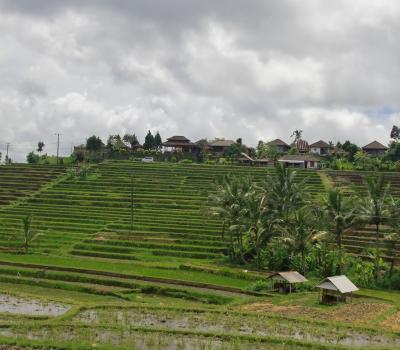 voyage à bali avec balilabelle Jatiluwih Village