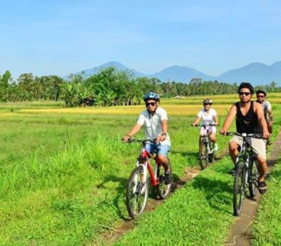 jatiluwih balade à pied et vélo à bali (vtt) offrant une vue panoramique sur les célèbres rizières