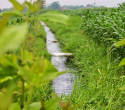 voyage à bali avec balilabelle randonnee au village de Jatiluwih