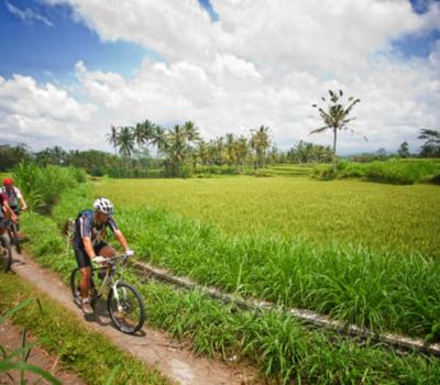 voyage à bali Un tour de vélo  très amusant et circuits de bali