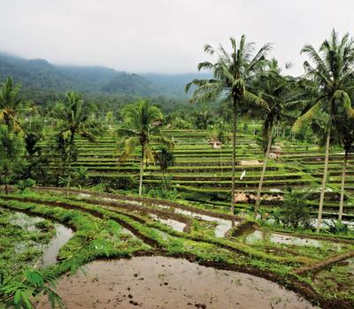tres belle balade dans  le  village sidemen avec vue panoramique sur les rizières et les montagnes