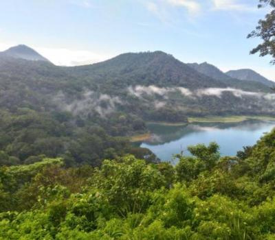 randonnée dans la jungle du lac buyan a Bali