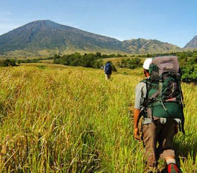 balade  à pied jatiluwih bali trés magnifique