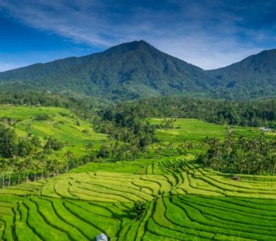 voyage à bali Munduk - Randonnées et jatiluwih avec un guide francophone balinais-balilabelle
