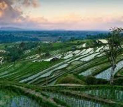 randonnée à bali jatiluwih , L'eau chaude angseri et le temple de Tanah lot