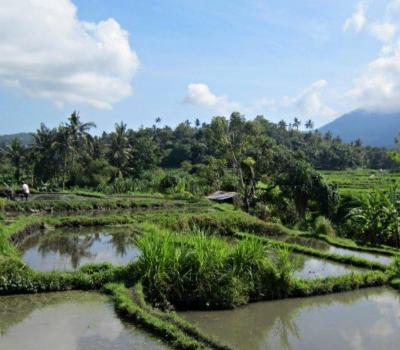 randonnée dans la région de Kastala, Karangasem-Bali