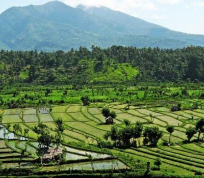 randonnée jatiluwih bali, dans la region de tabanan
