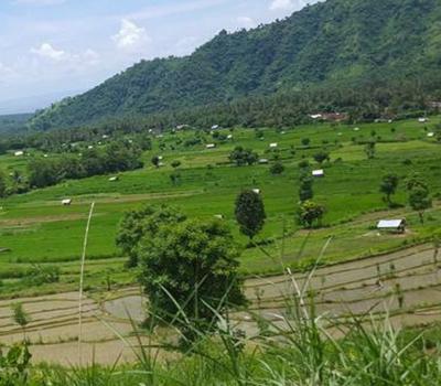 randonnée jatiluwih bali.tabanan est la plus vaste des rizières en terrasses de bali