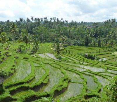 bali balade à pied kastala