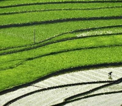 voyage à bali avec activité de la randonnée au village belimbing tabanan bali-balilabelle