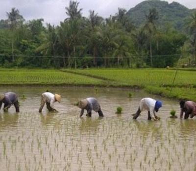 randonnée dans le village de Kastala très agréable