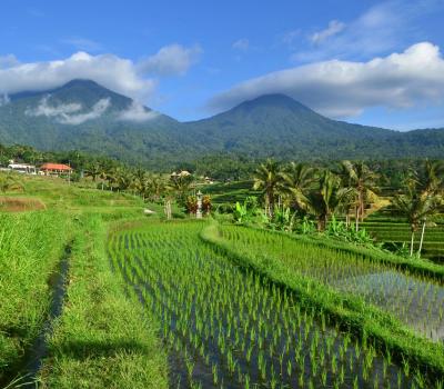 balade a pied a munduk