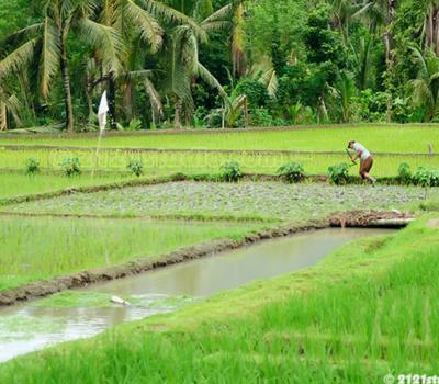 voyage à bali randonnée kastala et le palais tirtagangga