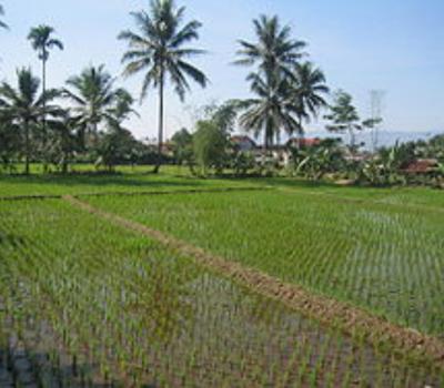balade  à pied dans le village de Kastala