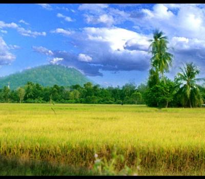 La randonnée dans le village Kastala  avec les rizières