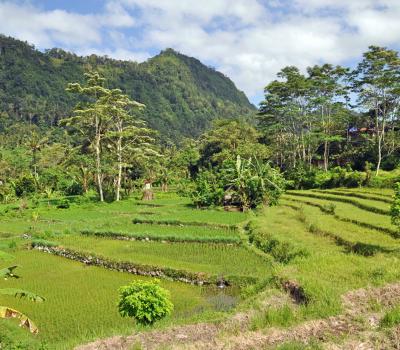 très jolies randonnées en sidemen et activités de rafting,balilabelle