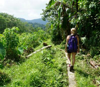 bali randonnée aventure sidemen avec de belles collines et rizières,balilabelle