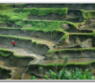 voyage à bali Le village de Jatiluwih est très étonnant de se promener dans les rizières