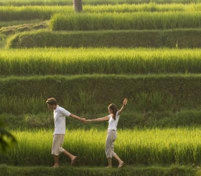 très jolies randonnées au village d'ubud ,balilabelle
