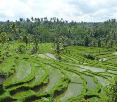 Belle randonnée dans le village de Kastala,balilabelle