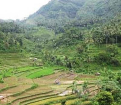 très belle promenade au village kastala ,réputé pour ses rizières encadrées par le mont Agung
