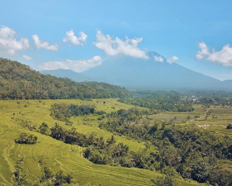 randonnée sidemen  à  bali TOP les rizierres en terrasses