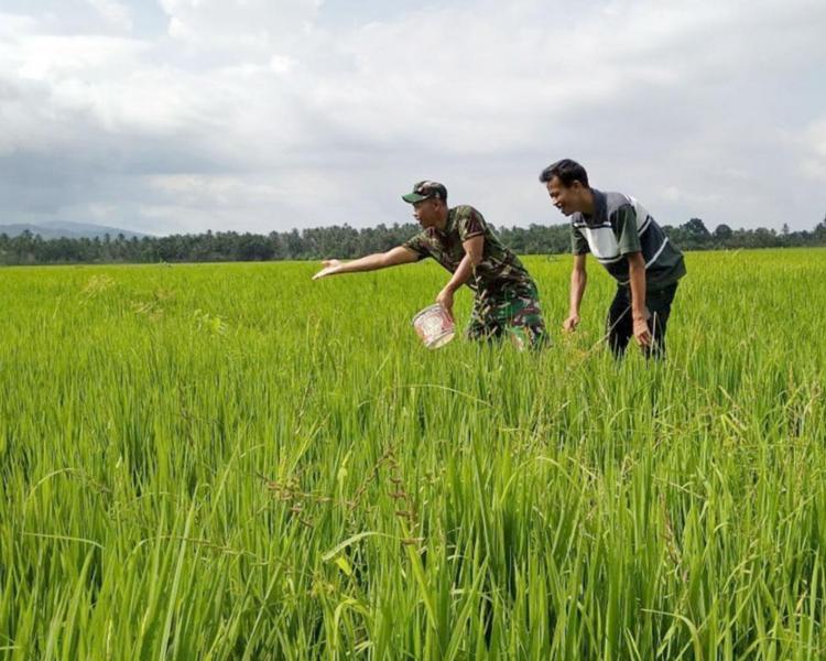 randonnée  Sidemen bali, la vue sur le mont Agung