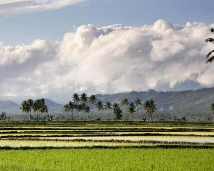 randonnèe et rafting très exotique sur la  riviere telaga waja à sidemen