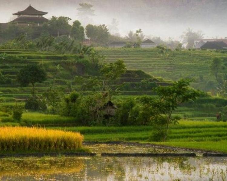 randonnée à bali sidemen  et visiter le tempe de besakih,balilabelle