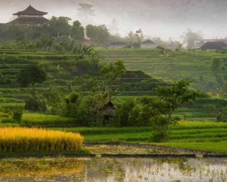 voyage à bali la beauté du village de munduk  et Cours de cuisine et offrandes