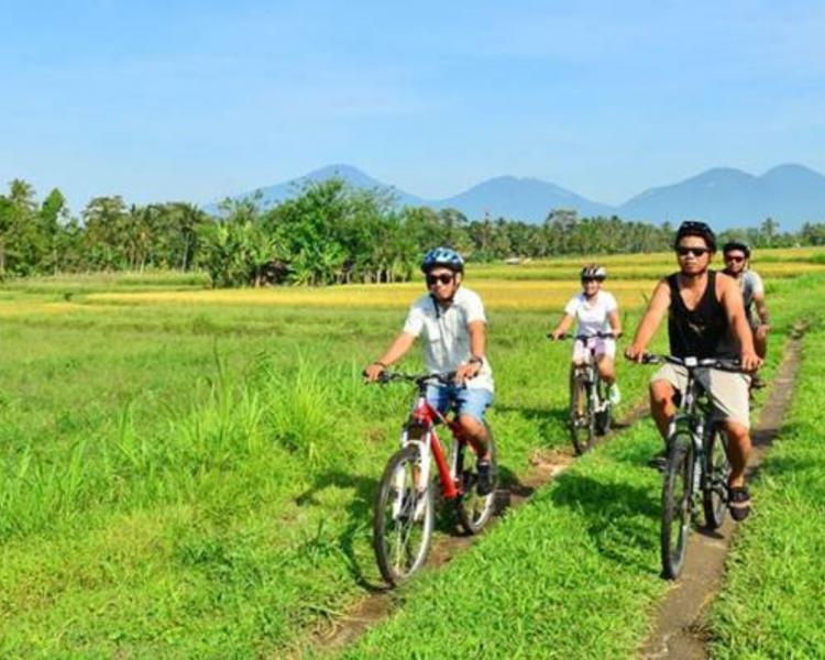 voyage à bali ,faire du vélo  -balilabelle