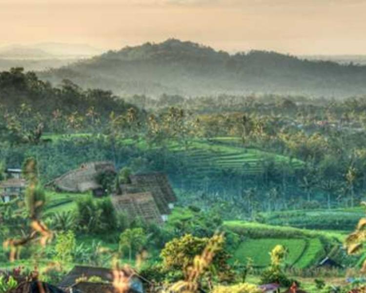 voyage à bali , randonnée a munduk et cours de cuisine