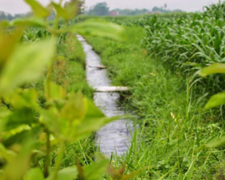 voyage à bali avec balilabelle randonnee au village de Jatiluwih