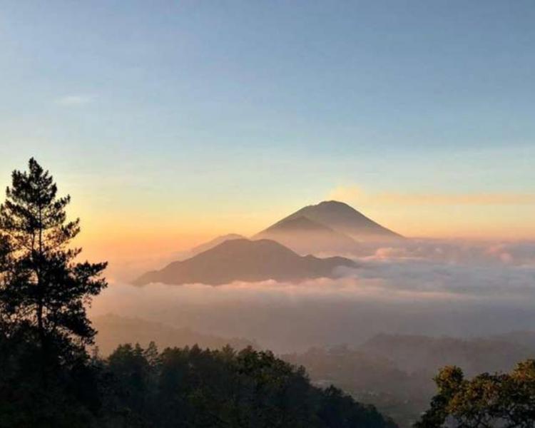 mont batur ascension et tegalalang riziererres