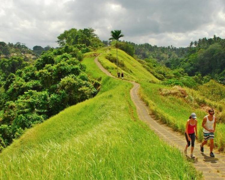 randonnées ubud ,entre rivières et rizières dans les environs d'ubud