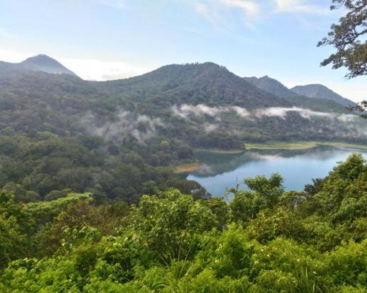 randonnée dans la jungle du lac buyan a Bali