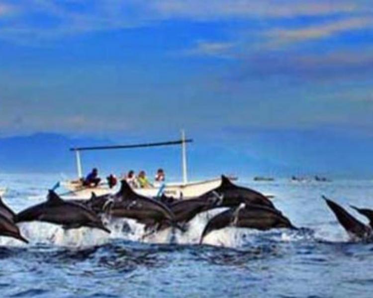 voyage à bali excurstion (visite des dauphins sur la plage de lovina) -balilabelle