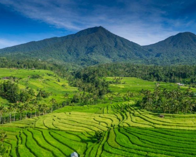 voyage à bali Trekking dans la région de Kastala, Karangasem-Bali
