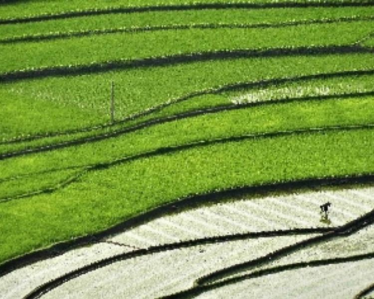 voyage à bali randonnée dans les villages d'ubud et Tampaksiring