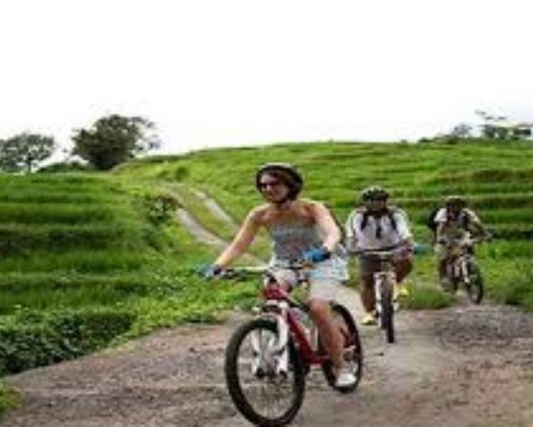 jatiluwih VTT, bali balade  à pied très belle vue sur les rizières en terrasses