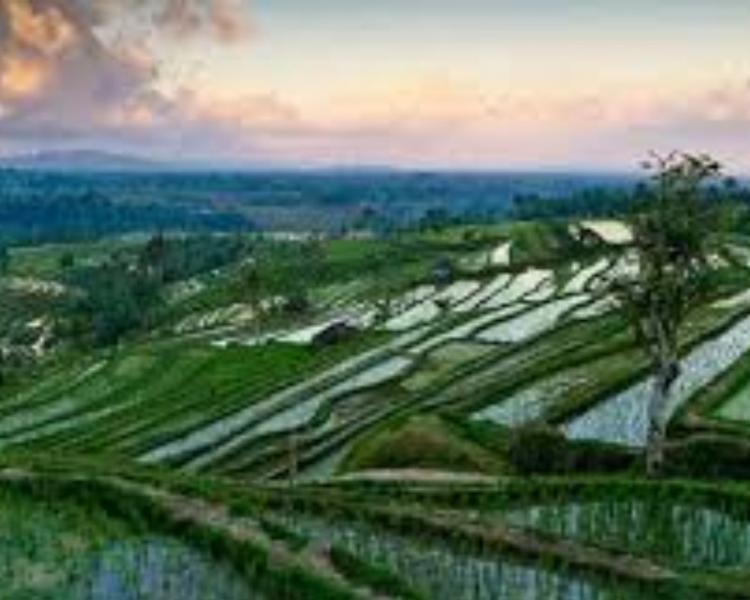 randonnée à bali jatiluwih , L'eau chaude angseri et le temple de Tanah lot