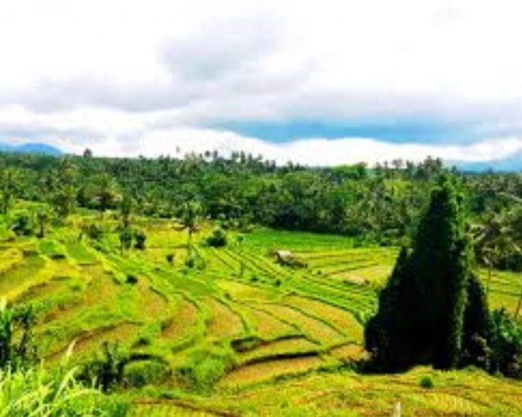 balade à kastala, balilabelle