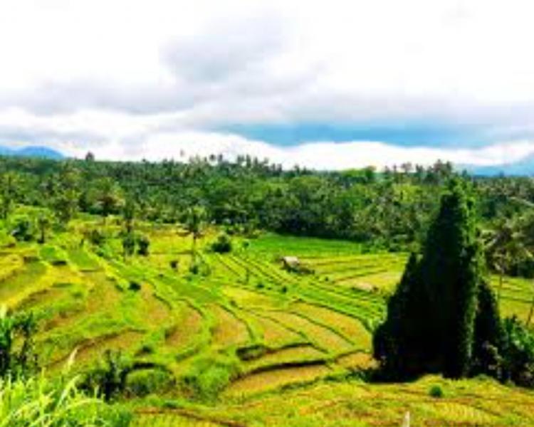 voyage à bali pour  randonnée au  village kastala  au pied du mont agung -balilabelle