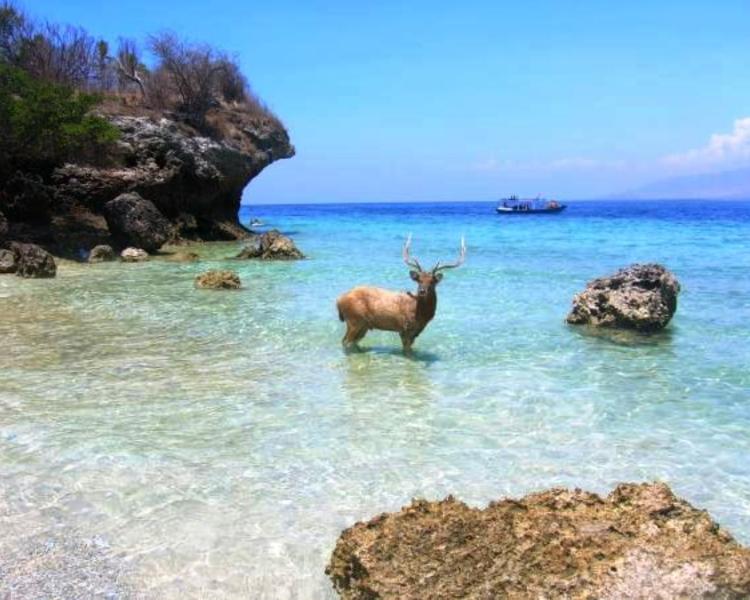 voyage à bali en circuits formule 2 nuits 3 jours au mont  kawah ije depuis bali avec balilabelle